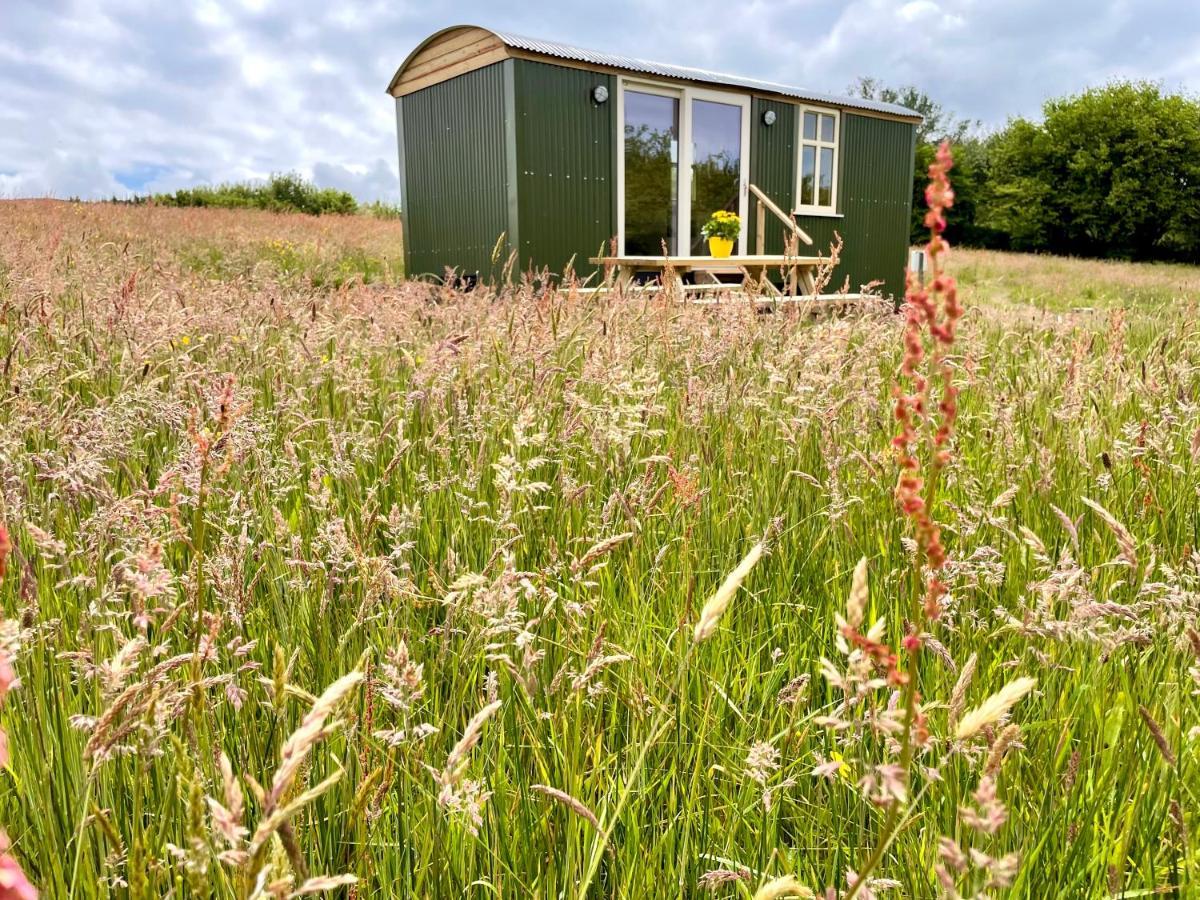 Villa Stepping Stones Glamping 'The Olive' Bantry Exterior foto