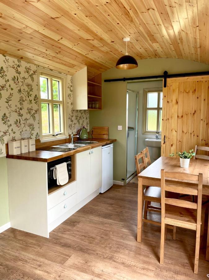 Villa Stepping Stones Glamping 'The Olive' Bantry Exterior foto