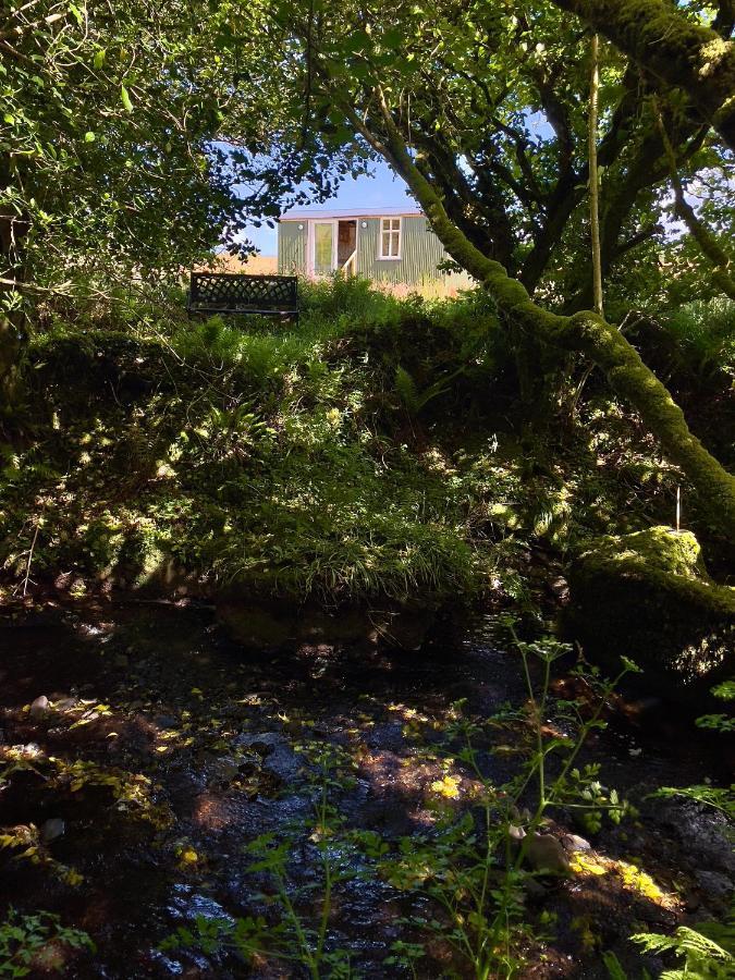 Villa Stepping Stones Glamping 'The Olive' Bantry Exterior foto