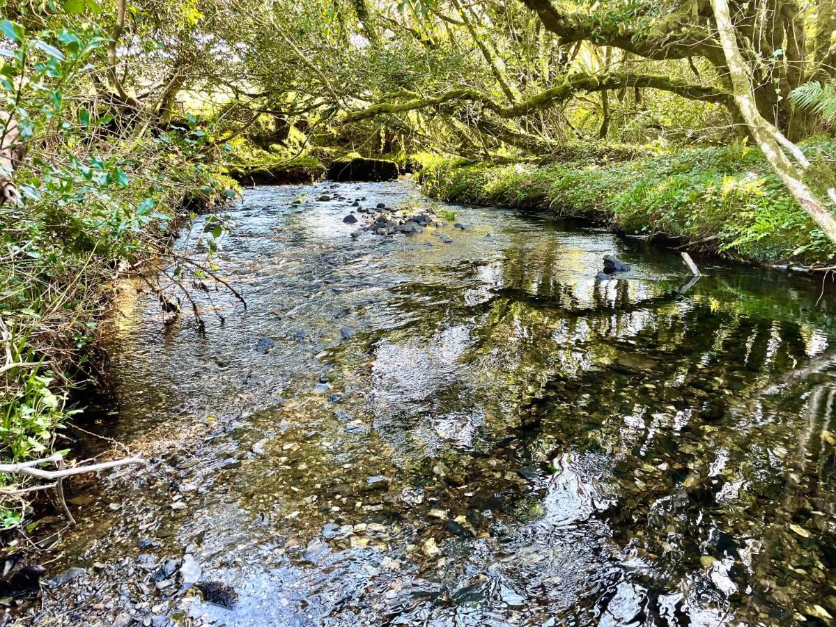 Villa Stepping Stones Glamping 'The Olive' Bantry Exterior foto