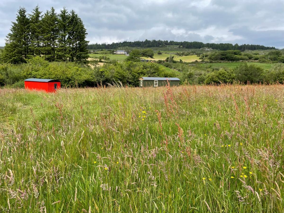 Villa Stepping Stones Glamping 'The Olive' Bantry Exterior foto