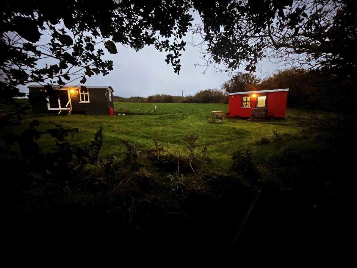 Villa Stepping Stones Glamping 'The Olive' Bantry Exterior foto