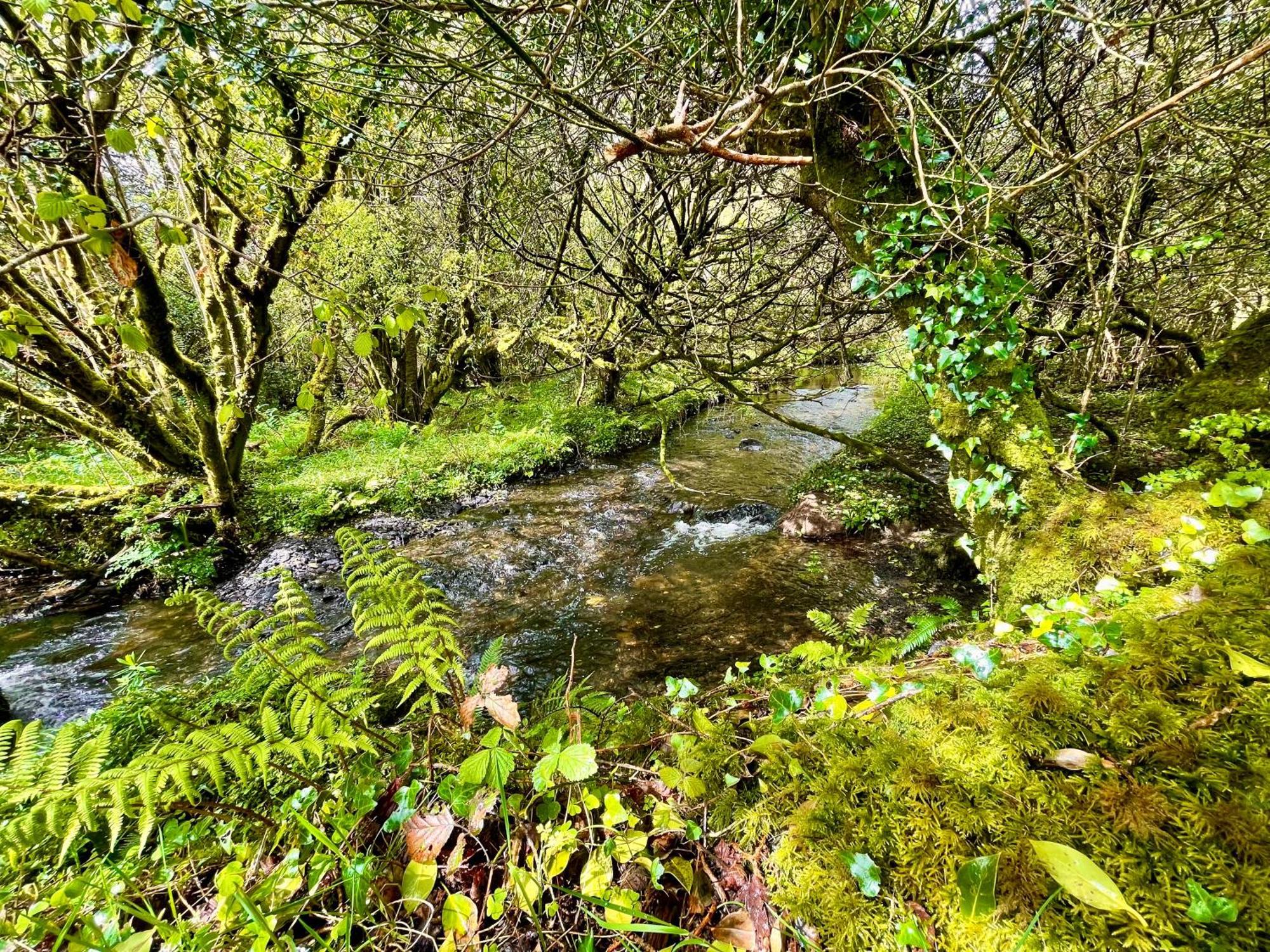 Villa Stepping Stones Glamping 'The Olive' Bantry Exterior foto